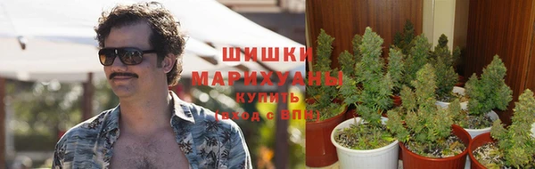 МДПВ Бронницы