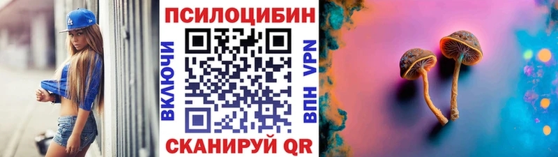 Псилоцибиновые грибы мицелий  Суджа 