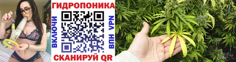 купить  цена  Суджа  KRAKEN ССЫЛКА  МАРИХУАНА конопля 